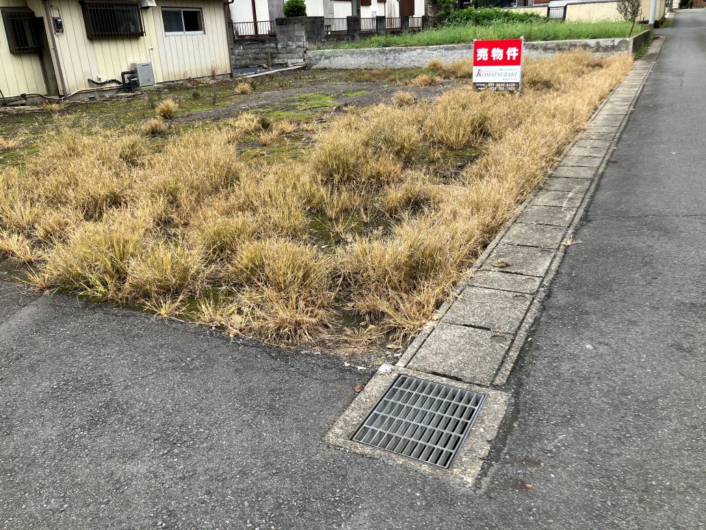オヒシバに除草剤が効かない?