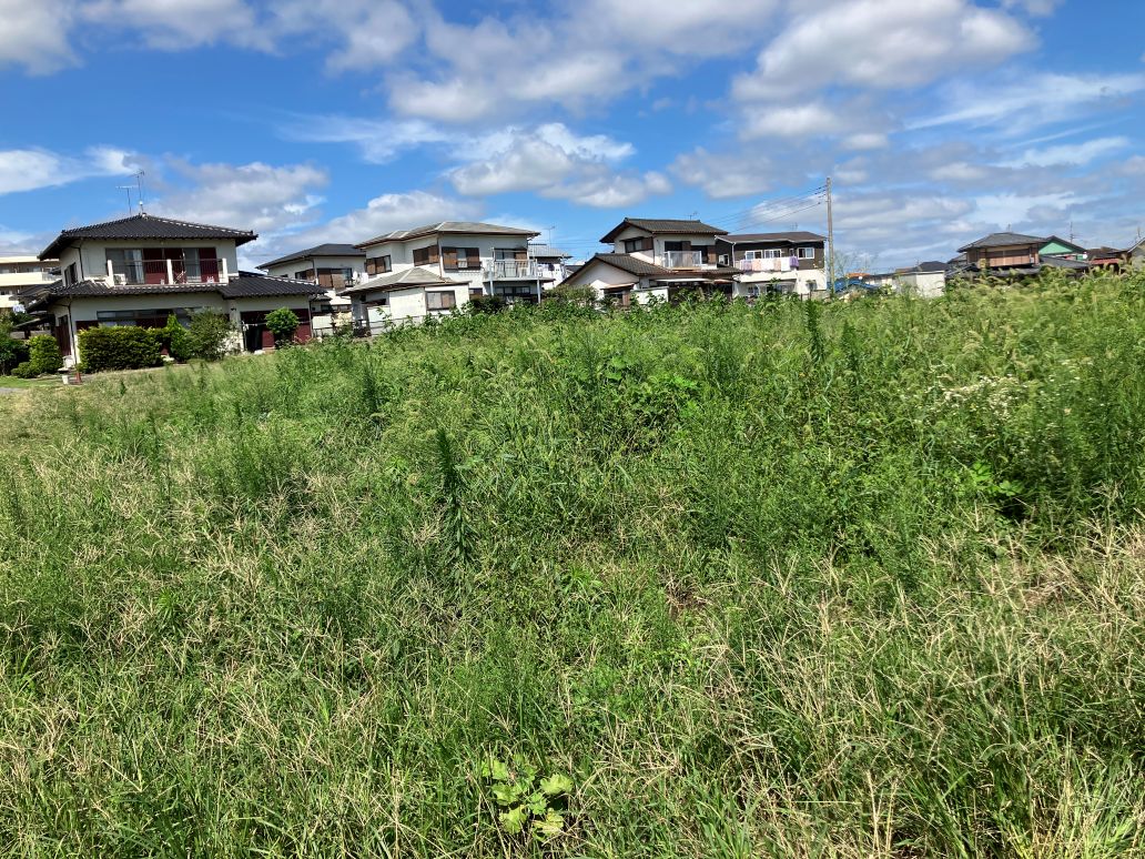 物件の草刈りをやる意味は？