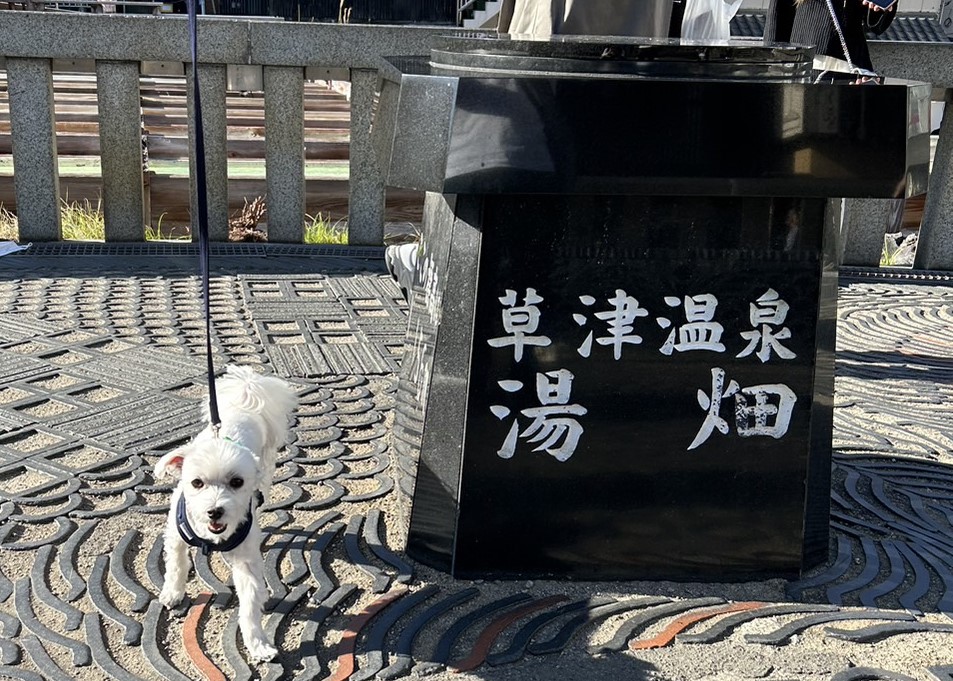 愛犬ジャックと群馬県 草津温泉へ