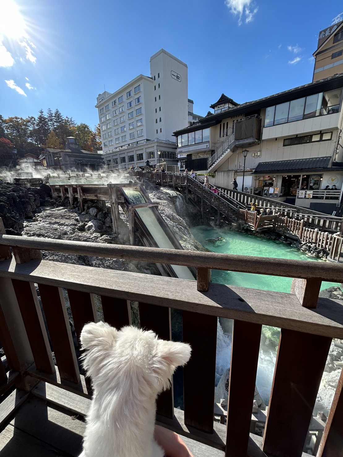 愛犬ジャックと群馬県 草津温泉へ