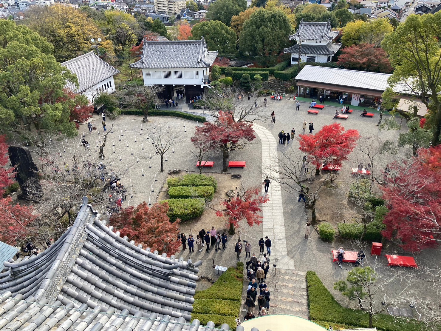 息子が住む名古屋へ行ってきました～犬山城