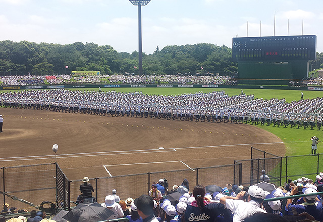 お願いがあります